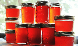 Jars of preserves and jams